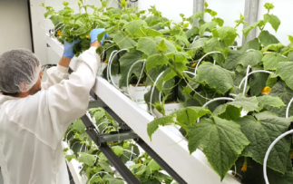 Как классификация чистой комнаты влияет на качество продукции
